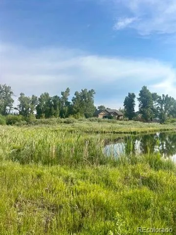 1105 Little River Lane Poncha Springs, CO 81242