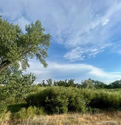 1105 Little River Lane Poncha Springs, CO 81242