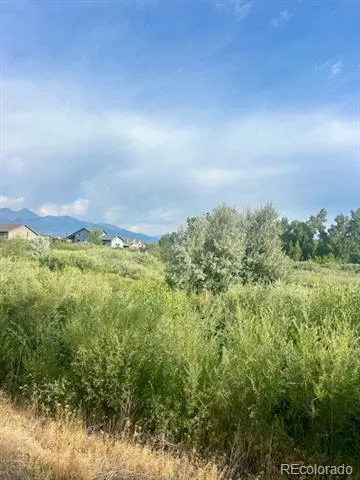 1105 Little River Lane Poncha Springs, CO 81242