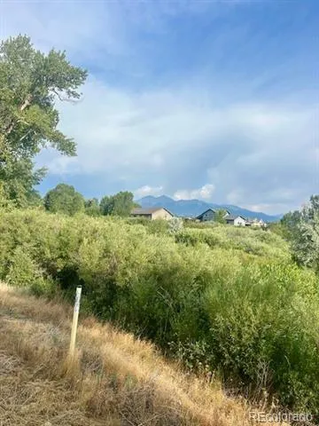 1105 Little River Lane Poncha Springs, CO 81242