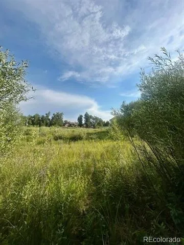 1105 Little River Lane Poncha Springs, CO 81242