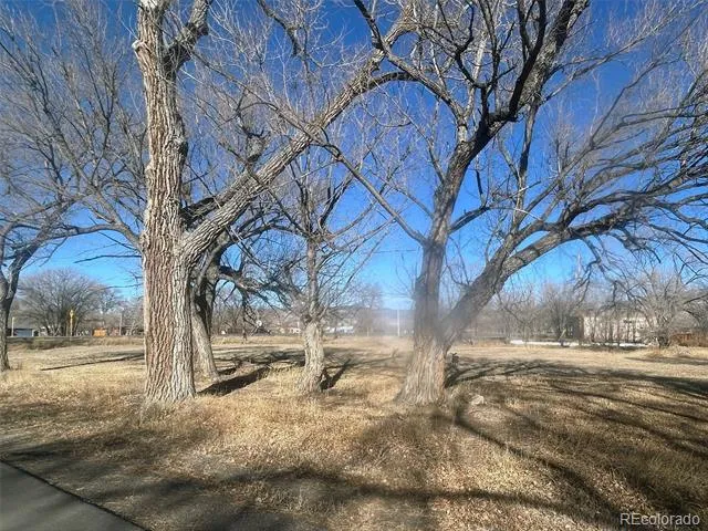 none Highway 285 Saguache, CO 81149