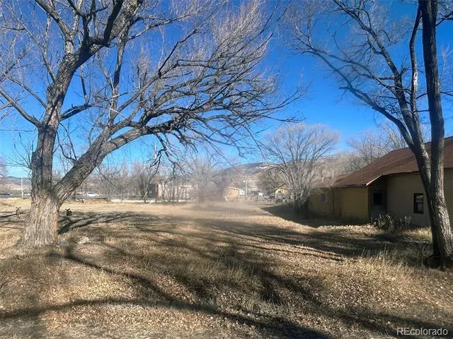 none Highway 285 Saguache, CO 81149