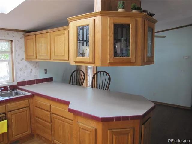 560 Concho Trail Hartsel, CO 80449