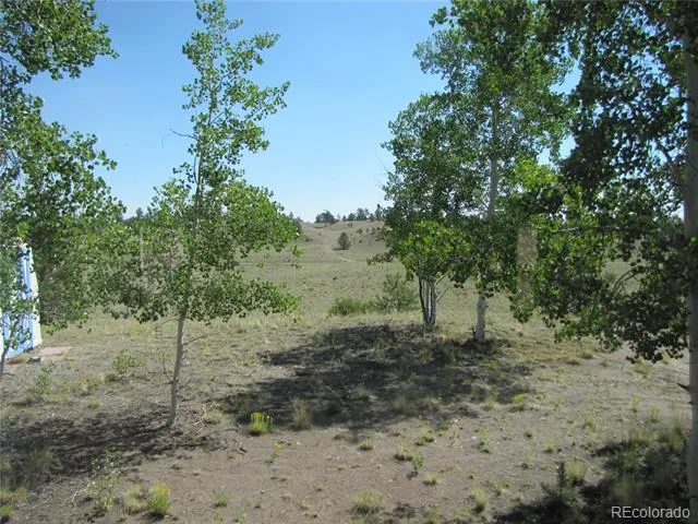 560 Concho Trail Hartsel, CO 80449