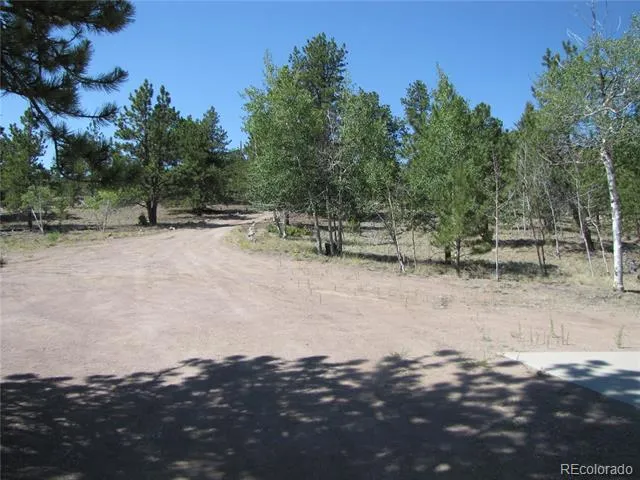 560 Concho Trail Hartsel, CO 80449