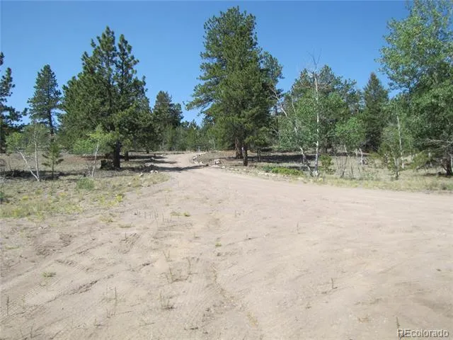 560 Concho Trail Hartsel, CO 80449