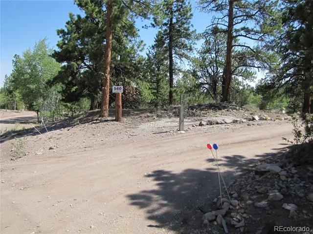 560 Concho Trail Hartsel, CO 80449