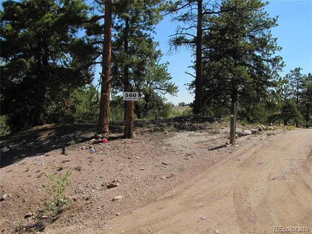 560 Concho Trail Hartsel, CO 80449