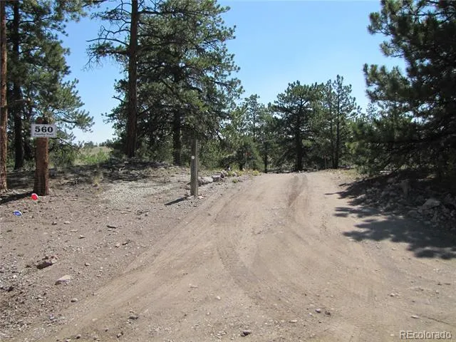 560 Concho Trail Hartsel, CO 80449
