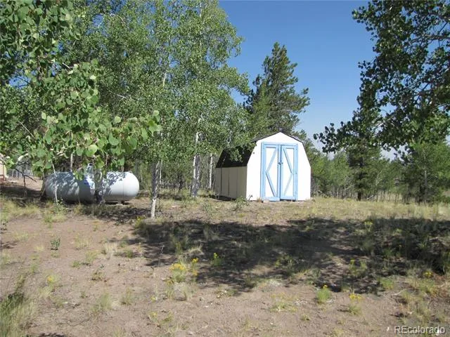 560 Concho Trail Hartsel, CO 80449