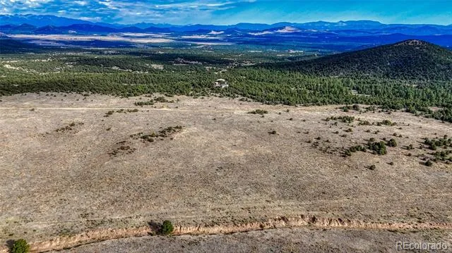 705 Riggs Road Westcliffe, CO 81252