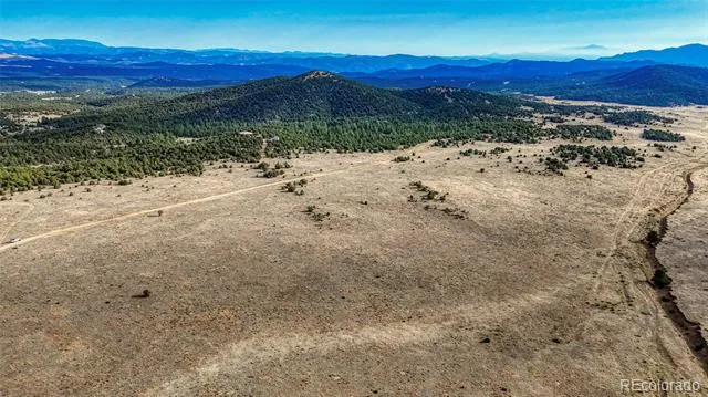 705 Riggs Road Westcliffe, CO 81252