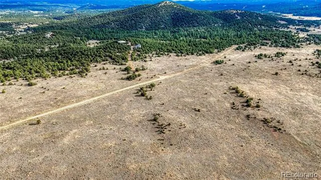 705 Riggs Road Westcliffe, CO 81252