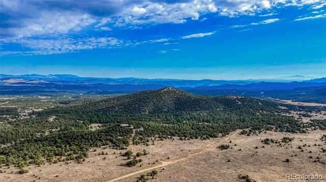 705 Riggs Road Westcliffe, CO 81252