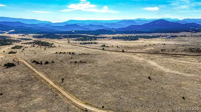 705 Riggs Road Westcliffe, CO 81252