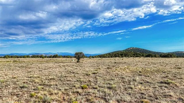 705 Riggs Road Westcliffe, CO 81252