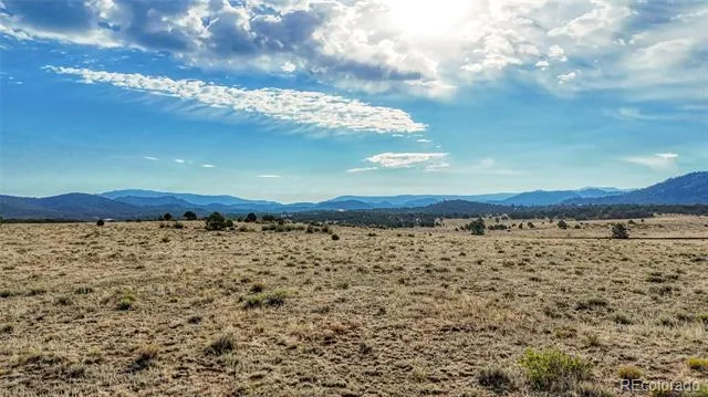 705 Riggs Road Westcliffe, CO 81252
