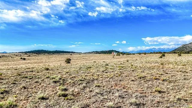 705 Riggs Road Westcliffe, CO 81252