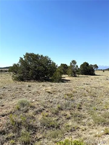705 Riggs Road Westcliffe, CO 81252