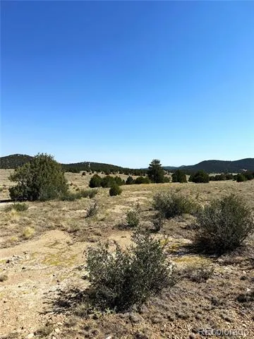 705 Riggs Road Westcliffe, CO 81252
