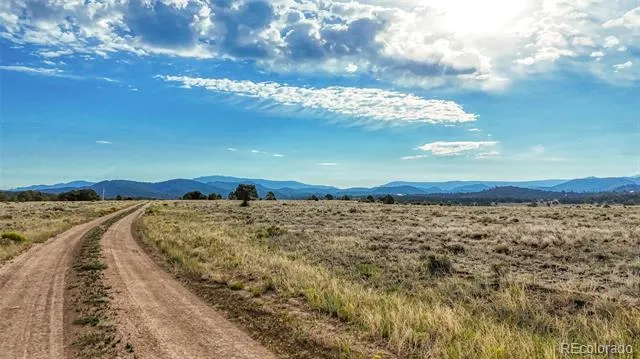 705 Riggs Road Westcliffe, CO 81252