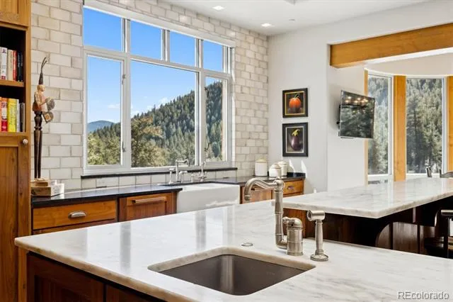30033 Upper Bear Creek Road Evergreen, CO 80439