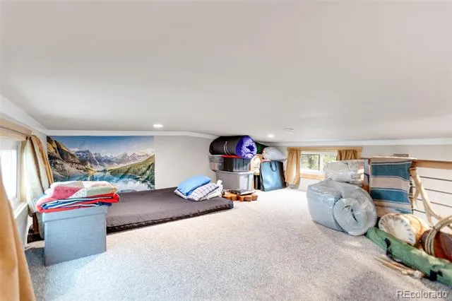 10795 County Road 197a #24 Nathrop, CO 81236