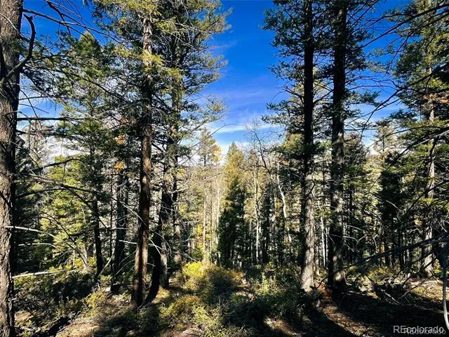 LOT 6187 Starkbeather Road Fort Garland, CO 81133