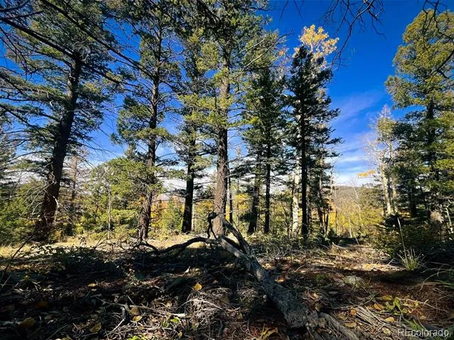 LOT 6187 Starkbeather Road Fort Garland, CO 81133