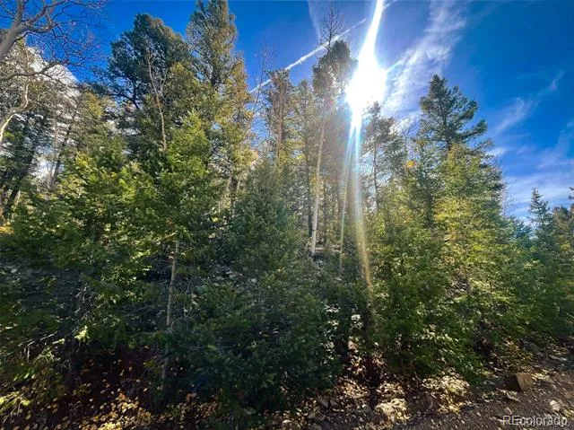 LOT 6187 Starkbeather Road Fort Garland, CO 81133