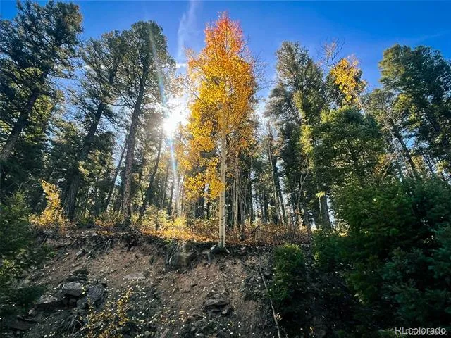 LOT 6187 Starkbeather Road Fort Garland, CO 81133