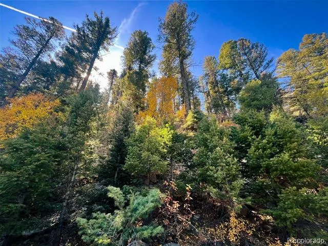LOT 6187 Starkbeather Road Fort Garland, CO 81133