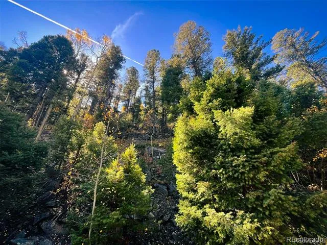 LOT 6187 Starkbeather Road Fort Garland, CO 81133