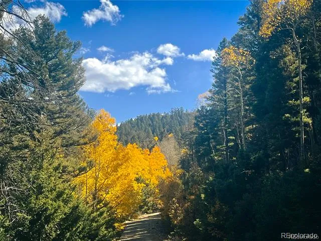 LOT 6187 Starkbeather Road Fort Garland, CO 81133
