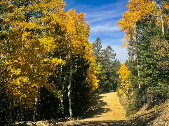 LOT 6187 Starkbeather Road Fort Garland, CO 81133