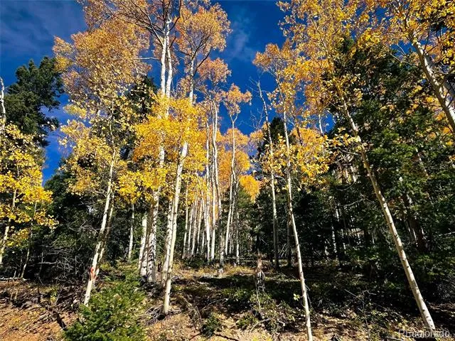 LOT 6187 Starkbeather Road Fort Garland, CO 81133