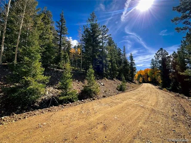 LOT 6187 Starkbeather Road Fort Garland, CO 81133