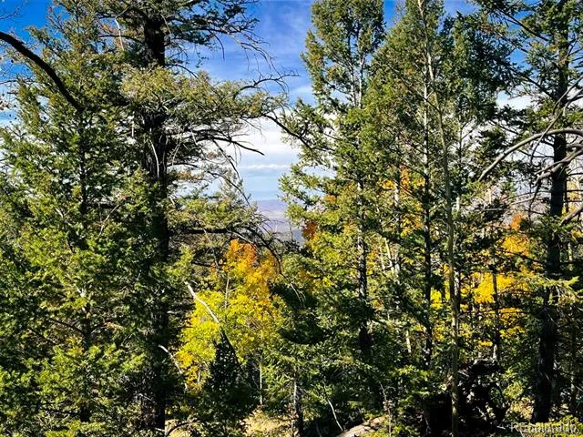 LOT 6187 Starkbeather Road Fort Garland, CO 81133