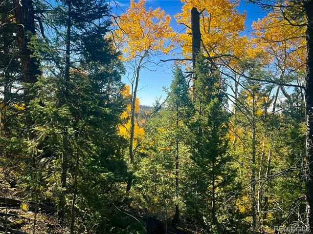 LOT 6187 Starkbeather Road Fort Garland, CO 81133