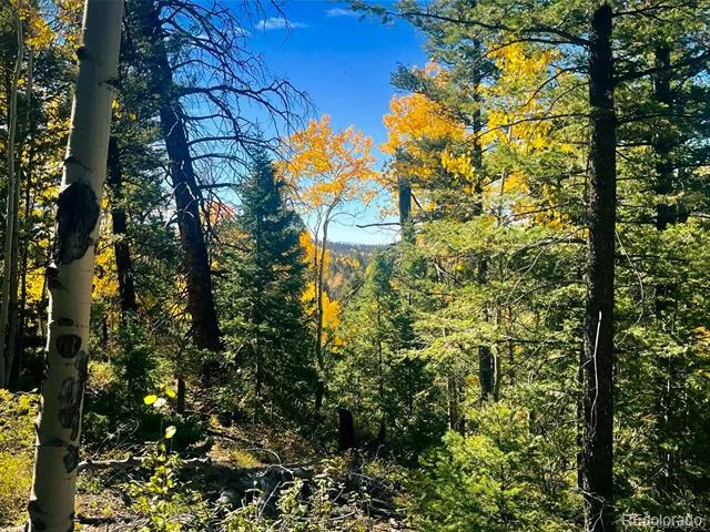 LOT 6187 Starkbeather Road Fort Garland, CO 81133