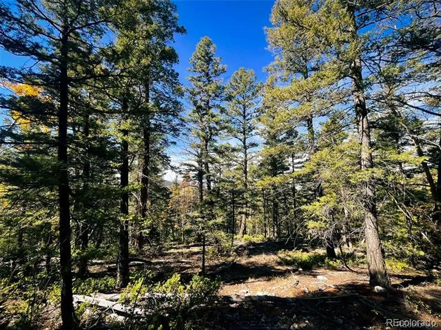LOT 6187 Starkbeather Road Fort Garland, CO 81133