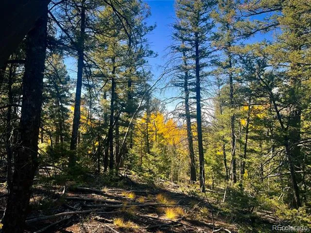LOT 6187 Starkbeather Road Fort Garland, CO 81133