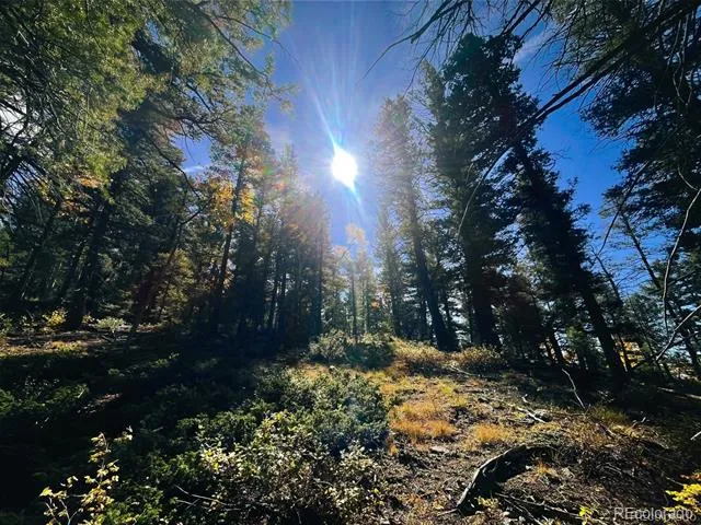 LOT 6187 Starkbeather Road Fort Garland, CO 81133