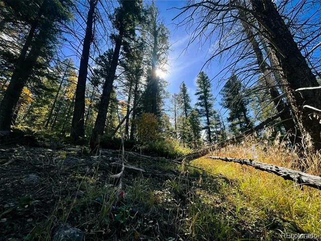 LOT 6187 Starkbeather Road Fort Garland, CO 81133