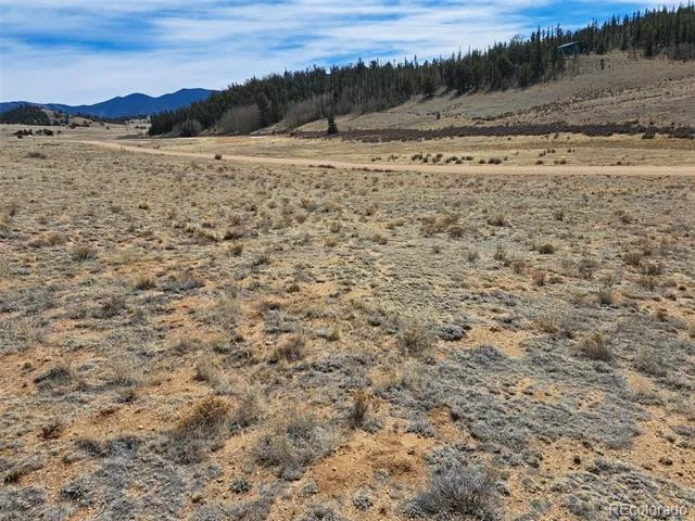 3646 Remington Road Como, CO 80432