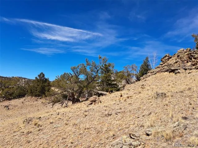 3646 Remington Road Como, CO 80432