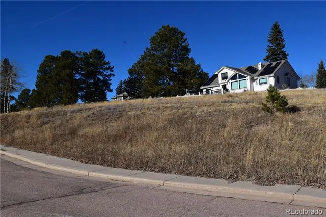 108 Allison Place Divide, CO 80814