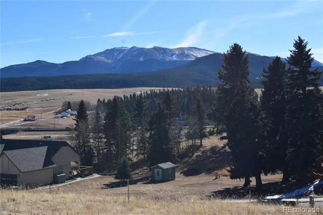 108 Allison Place Divide, CO 80814