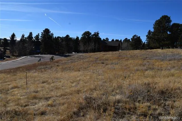 108 Allison Place Divide, CO 80814